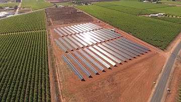 Chint / Green Gold Promotional (Shortened)