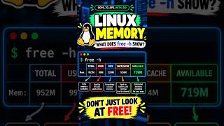 Linux Interview Questions: 4. Check memory using a command