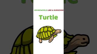 Turtle Time Song | Cute Nursery Rhyme for Kids | #shorts #izoinoworld #drawing #art #fun