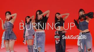 [KDCC 2026] SeiAiSuiSoORi - 'BURNING UP' | K-Pop in Studio