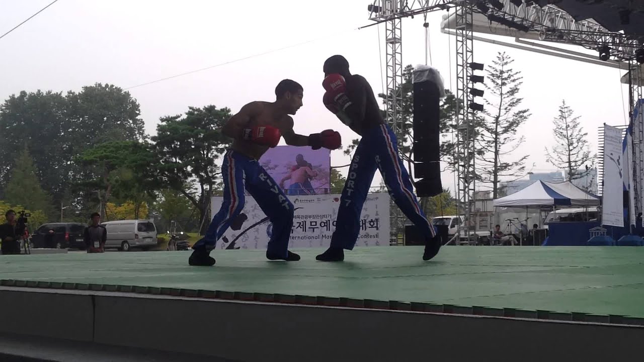 WoMAU (World MArtial Arts Union) festival 2013 Savate YouTube
