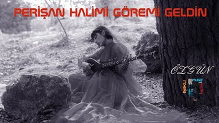 Hakan & Gökhan Işıklı & Perişan Halimi Göremi Geldin (Ruhsati)