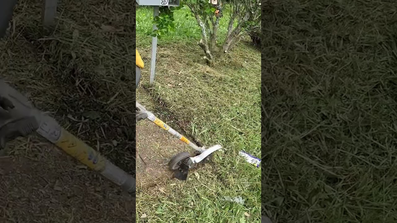 Grass Had Obstructed The Entrance To This Lawn