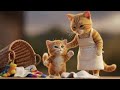 Kitten vs  Laundry Basket   The Great Ginger Cat Cleanup Fail   Funny Cat Videos    Funny Cat Story