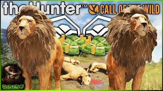 3 Diamond Lions In 60 Kills?!? Insane Diamond Lion & Money Guide! Call of the wild