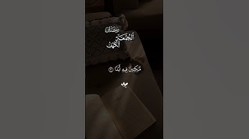 سورة الكهف – اكتب شيء تؤجر عليه 😴♥️#quran