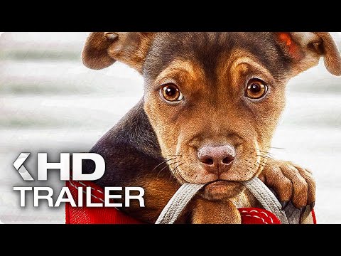 A Dog's Way Home (2019) Full Movie