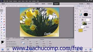 Photoshop Elements 2018 Tutorial Color-Coding Layers Adobe Training