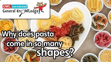 Why does pasta come in so many different shapes? 🍝 | General KnOWLedge