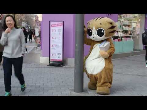 JHKTV] shinchon special mask <strong>cat</strong> I walk the streets <strong>again</strong> today신촌 유명고양이탈 오늘도 거리를 누빈다