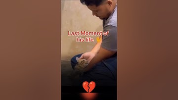 She Took Her Last Breath in His Arms 😭💔