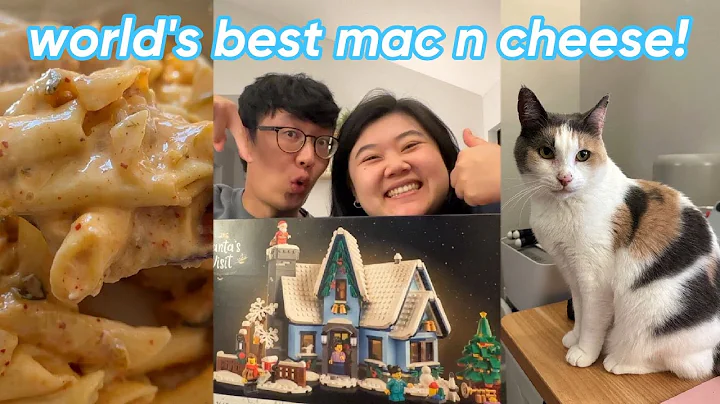 world's best mac n cheese + taking toni to the vet...