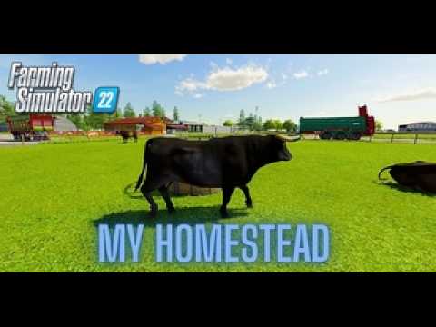 🔴 LIVE - FS25 - MY HOMESTEAD - CONTINUED - YouTube