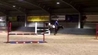 Corky jumping with Mary King Nov 2015