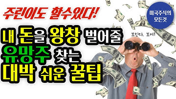 주식초보도 쉽게 유망주 찾는 방법!  테슬라나 팔란티어 같은 성장주를 직접 찾아 봅시다.