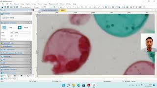 ILabS Tutorial Camera Microscope OptiLab Viewer 4    watermark skala dan waktu screenshot 4