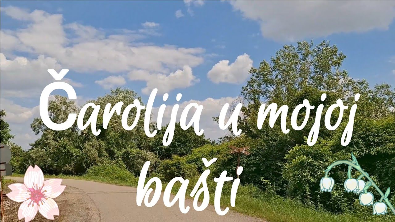 Baštovanski dan -sadim,presađujem,uživam 🌸🌸🌸🍀🍀💐/Život na selu/Mama troje dece