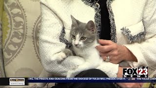 Adopt a Survivor: Meet Felix