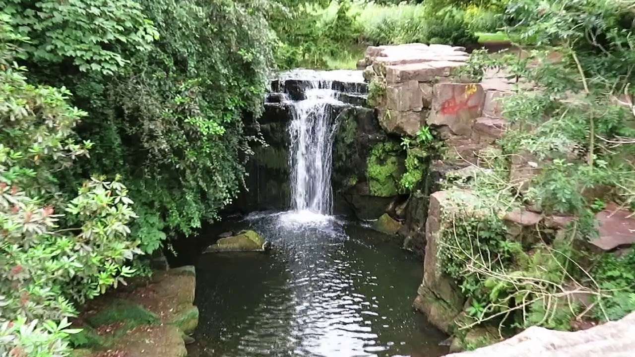 Jesmond dene Park July 2018 2