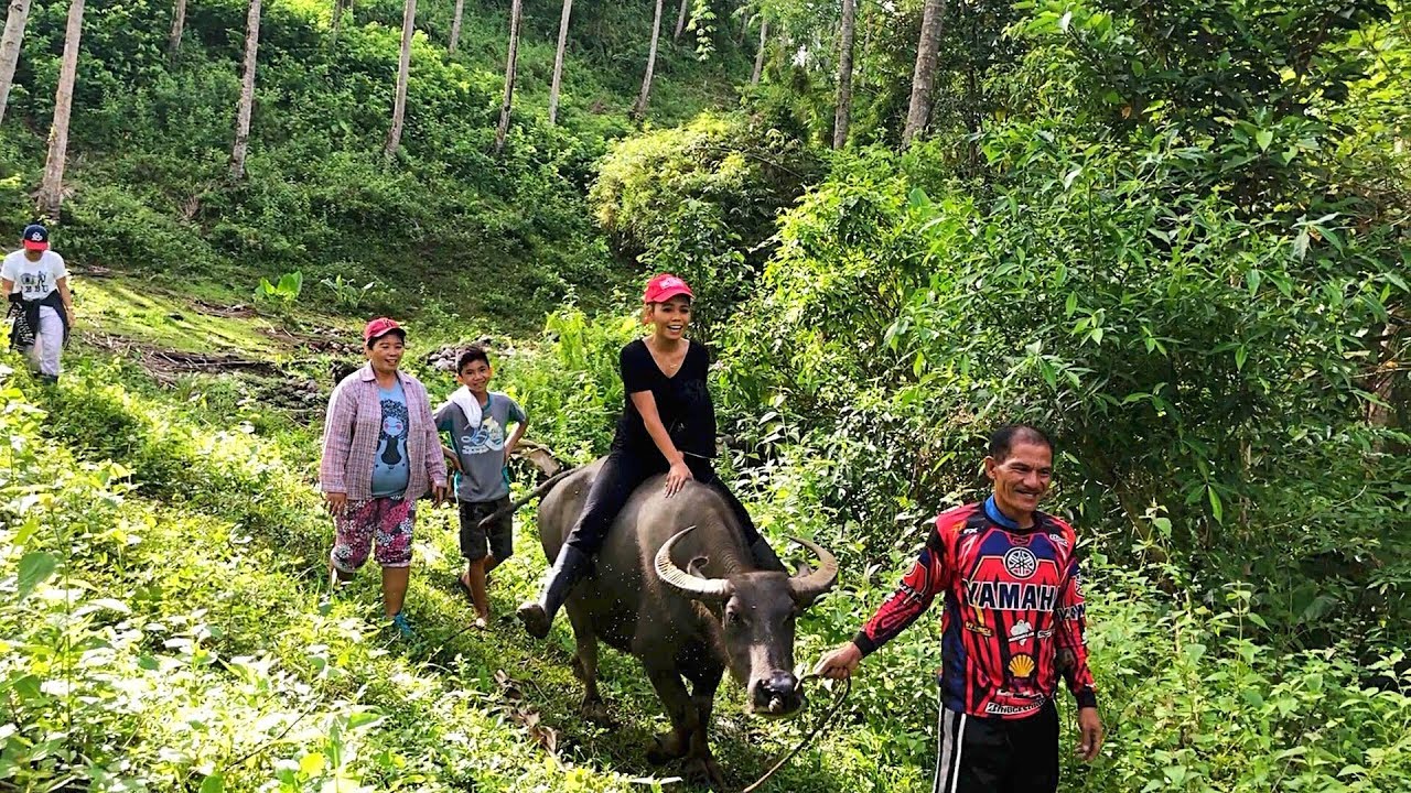 MOUNTAIN LIFE | BUHAY BUKID | RIDING WATER BUFFALO | PHILIPPINES VLOG ...