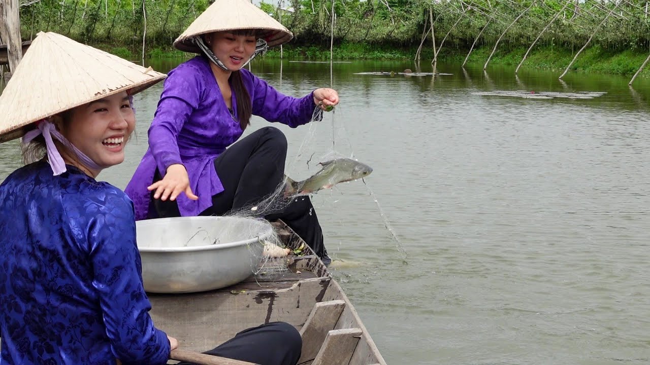 Sáng Ra Đồng Hái Đậu Đũa Giăng Lưới Cá Linh về làm Bữa Cơm Đồng Quê | HQ 