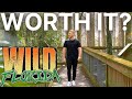 Wild Florida Airboat Tour Safari And Gator Park Worth It