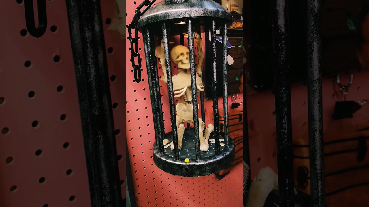 This Skeleton is Bad to the Bone! #animatronics #skeleton #shortsfunny