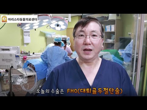 스타동물병원