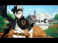 🔴 LIVE THE BLACK CLOVER GAME EVERYONE FORGOT ABOUT ⚔️ 4 PLAYER CO-OP