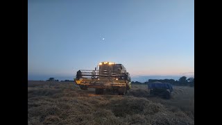 Żniwa 2020 W Gr Tomczyński D New Holland I Ursus W Akcji - Agroluki Tv