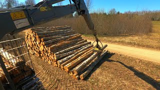 Forwarding Some Birch Logs With JD 1010G 4K