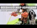 Наконец-то КОРЮШКА пошла! Попал на клев весенней корюшки