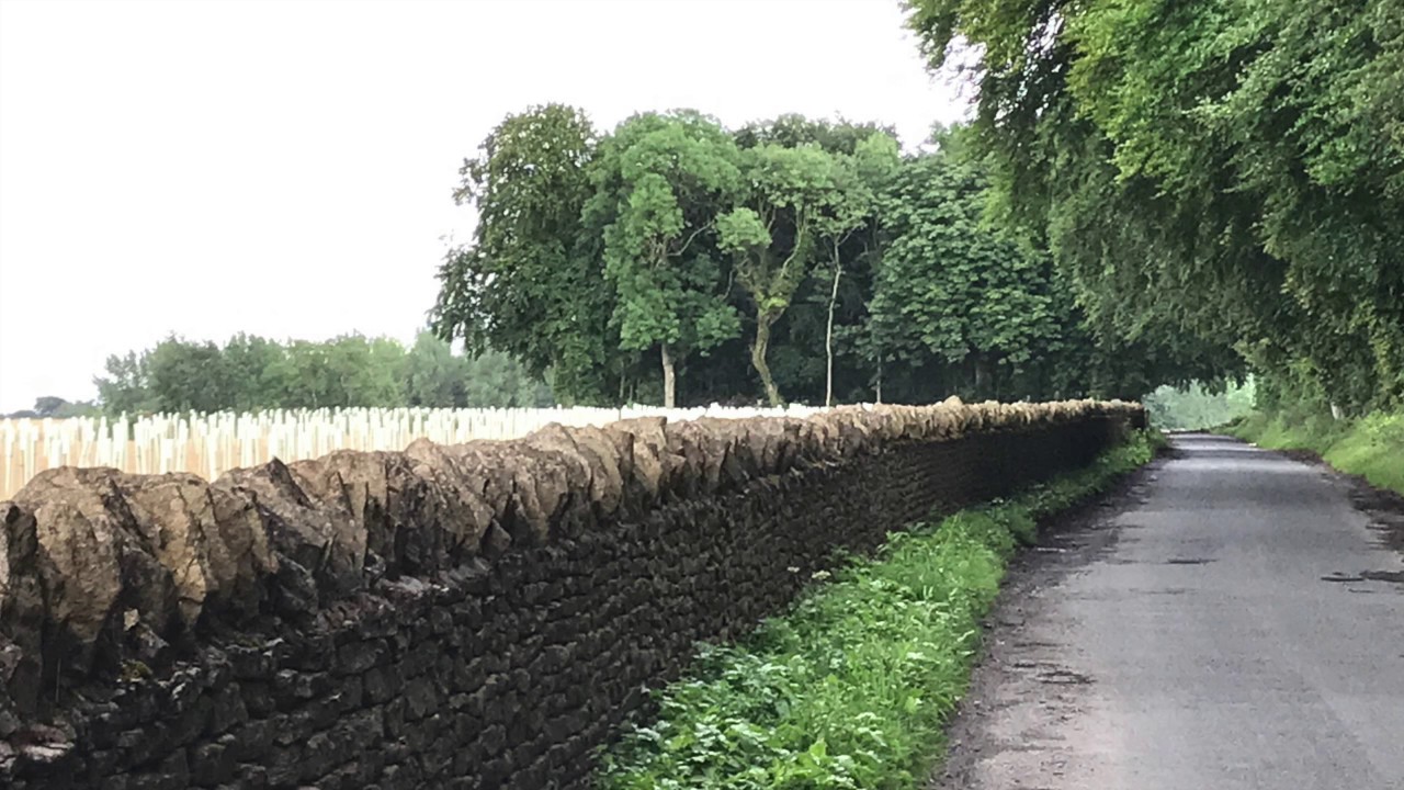 PsycloPz - Deterrent