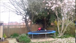 Trampoline Half Turntable