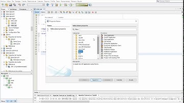 Proyecto WEB JAVA JSP, SERVLET,RequestDispatcher, TomcatServer