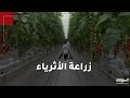 زراعات تعتمد على التكنولوجيا لإنتاج المحاصيل في المدن زراعات تعتمد على التكنولوجيا لإنتاج المحاصيل في المدن