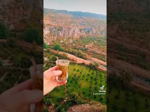 اغنية دقيقة صمت معين شريف يلي مكتبلو عمر