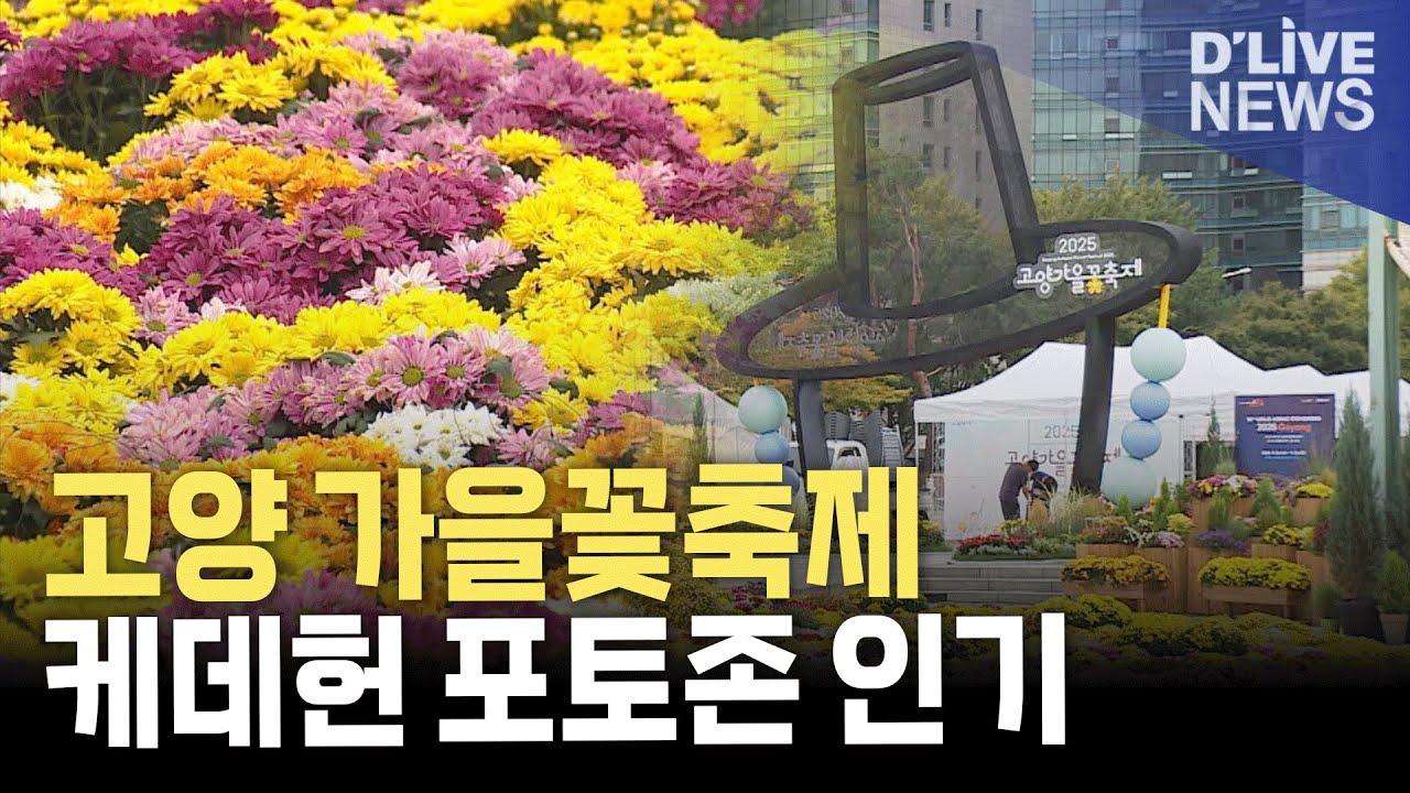 꽃과 만난 '케데헌' 감성…고양 가을꽃축제 개막