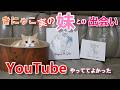 きにゃこの実の妹が見つかりました!!～奇跡の出会い