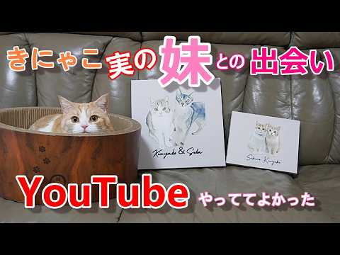 kinyako story - YouTube