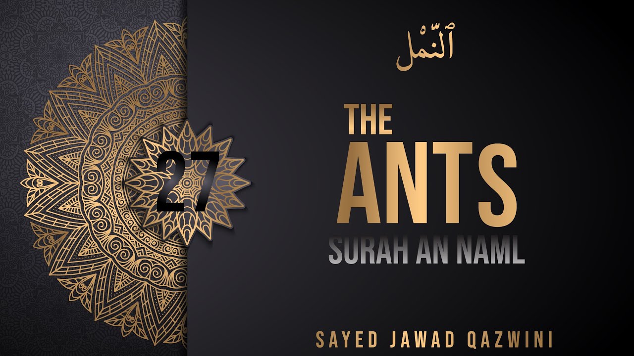 27. Understand The Quran. Surah al-Naml (The Ants) Sayed Jawad Qazwini