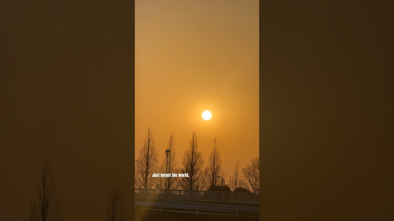 Chasing the Perfect Sunset in Japan! 🌅🚗