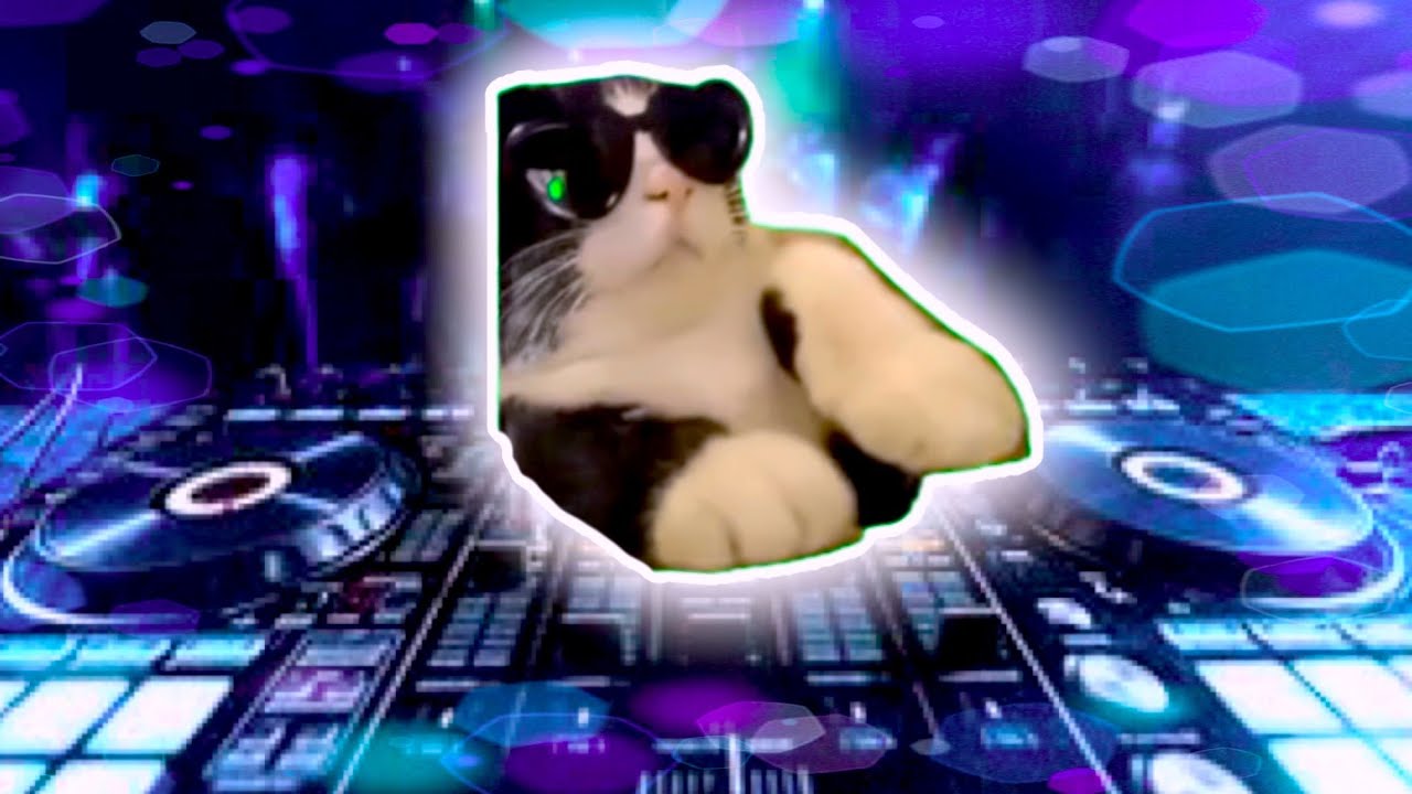 (猫マニ素材)DJねこ - YouTube
