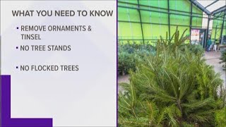 Christmas tree recycling begins Wednesday