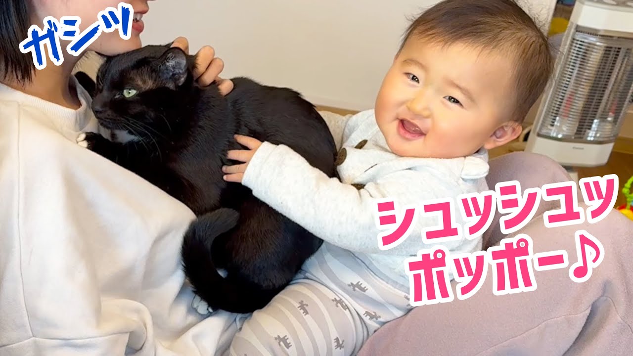 ゆ*ら様 コヤンイサムチョン 超Big赤ちゃん猫と友達 黒猫ちゃんサイド
