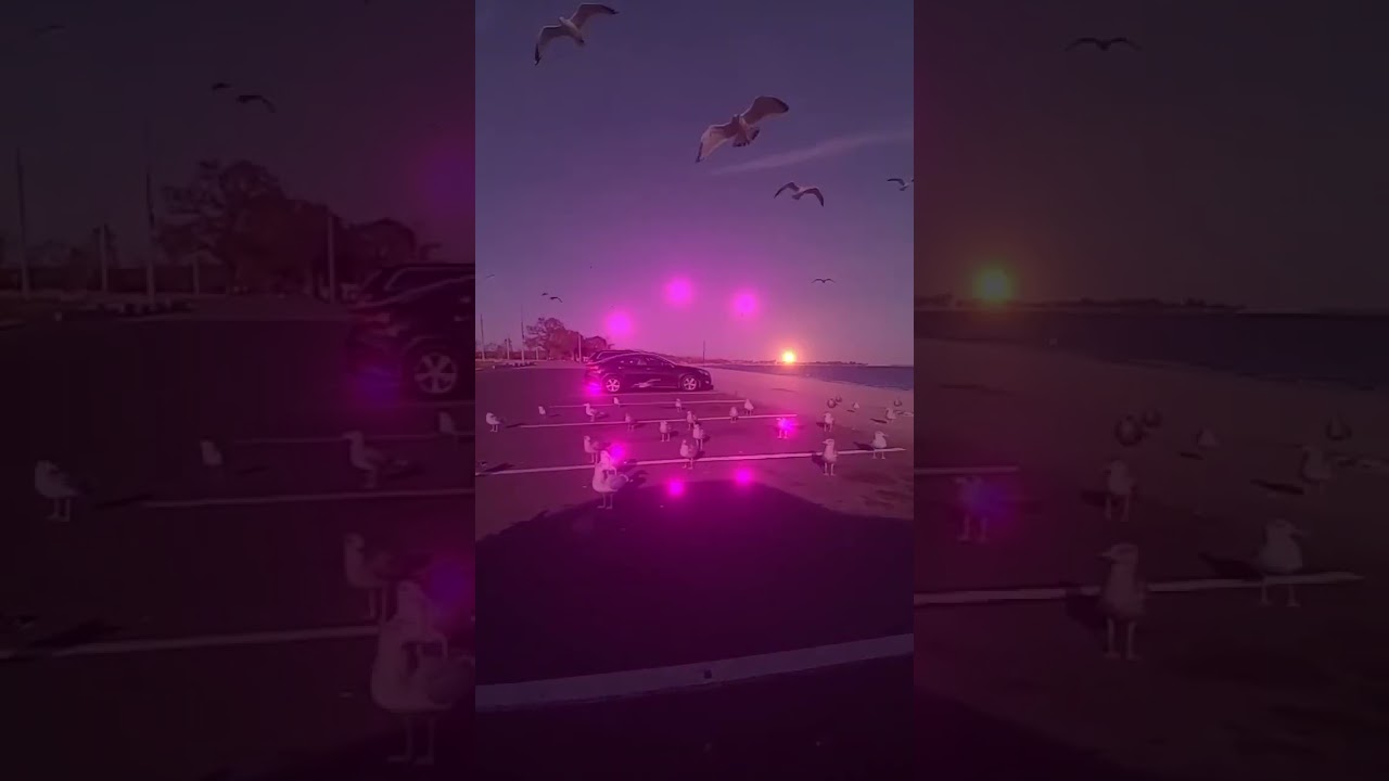 Bridgeport Connecticut at Seaside enjoying our day One Love wishes to all 🙏