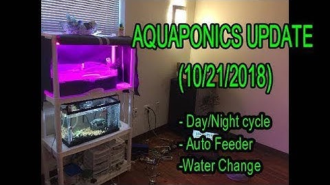 Indoor Aquaponics Project! (10/21/18) Automatic Lights, Feeder, and Water Change