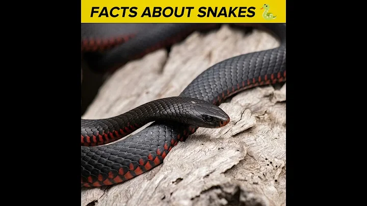 Mindblowing facts about Snakes🐍🤯.. #snakes #shorts #youtubeshorts #hereforyou