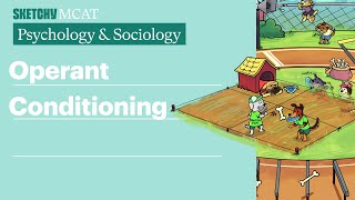 Operant Conditioning (Psychology/Sociology) | Sketchy MCAT Wealth