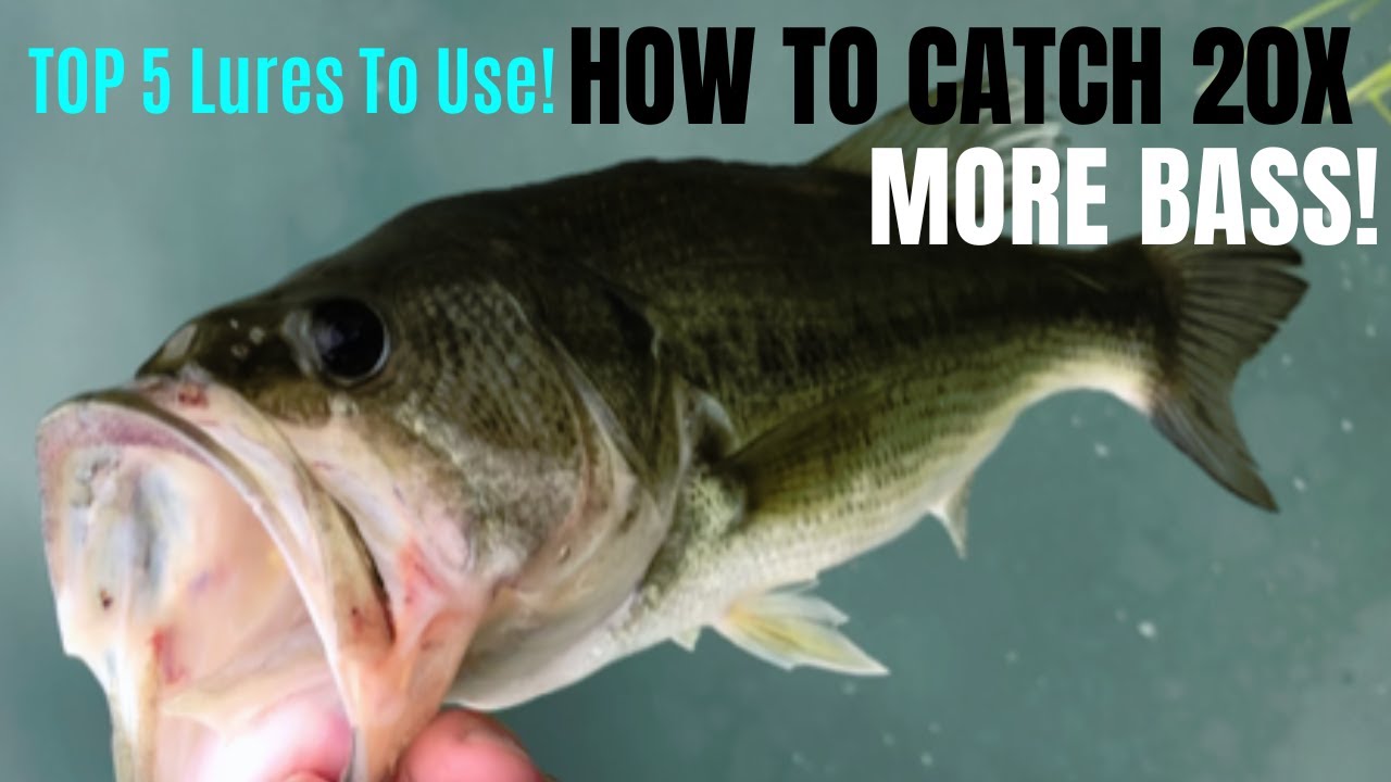 HOW TO Catch 20X More Bass NOW With These Fishing Lures!!